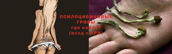 ешки Заволжск