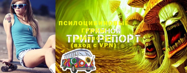 прущий лед Заводоуковск