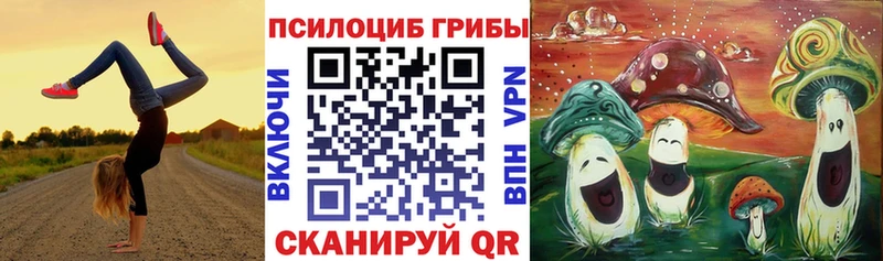 Галлюциногенные грибы мицелий  Заполярный 