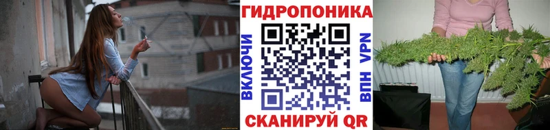 Канабис VHQ  где купить   blacksprut ТОР  Заполярный 